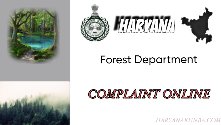 A vigilant citizen filing a complaint against illegal logging in the pristine forests of Haryana.