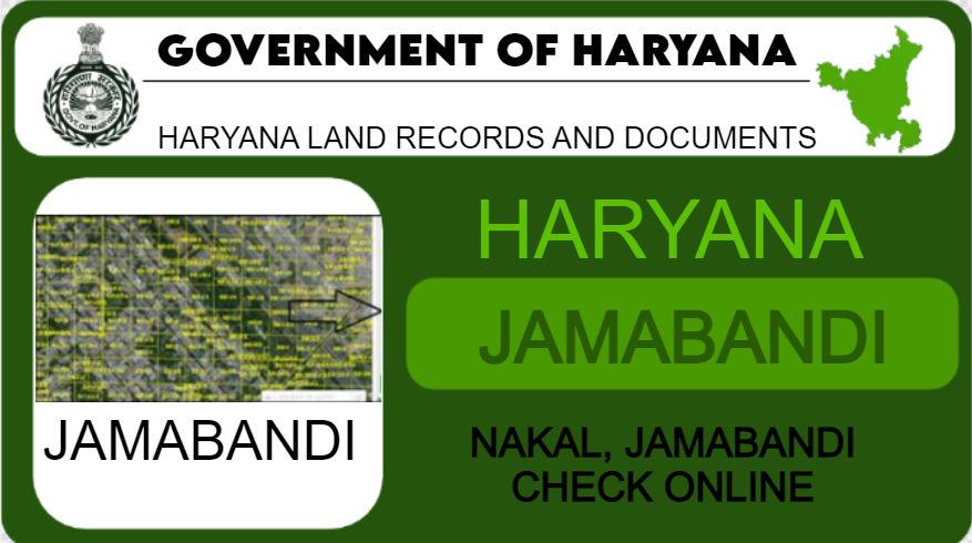 Citizens diligently seeking land-related information at the Haryana land records office.