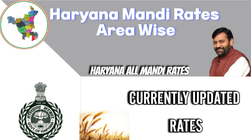 A colorful chart illustrating the rollercoaster ride of commodity prices in Haryana's markets.