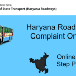 A disheartened traveler awaits a delayed Haryana Roadways bus, symbolizing the common plight of commuters.